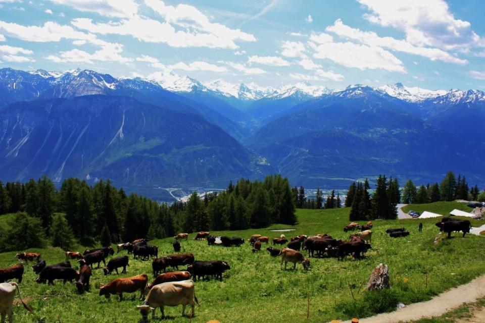 Le Mayen de Colombire Crans-Montana Extérieur photo